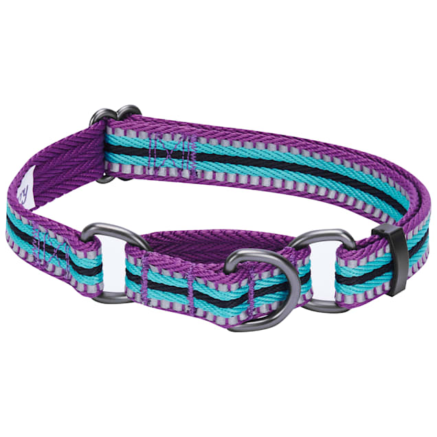 Blueberry pet martingale collar top