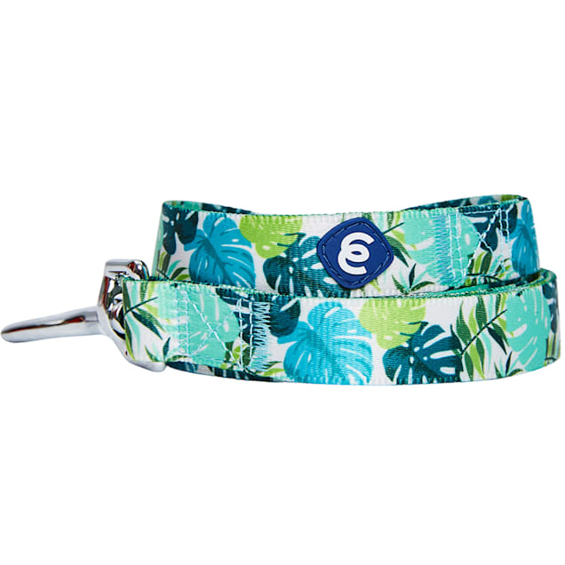 Blueberry Pet Essentials Bahamas Vacation Dog Leash, Medium - Carousel image #1