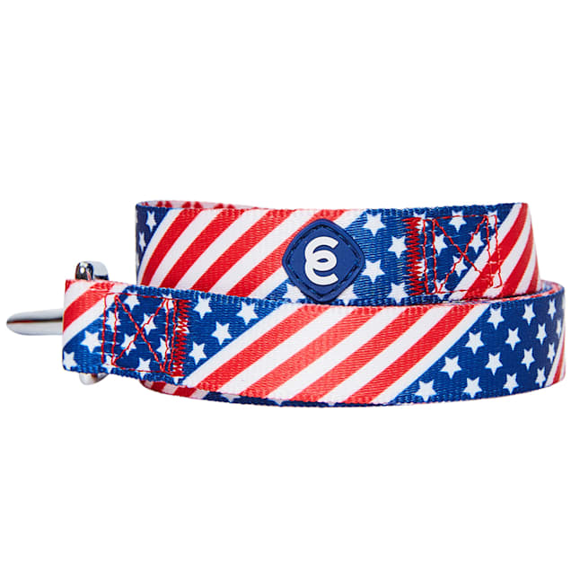 Blueberry Pet Essentials American Flag Dog Leash, Small - Carousel image #1