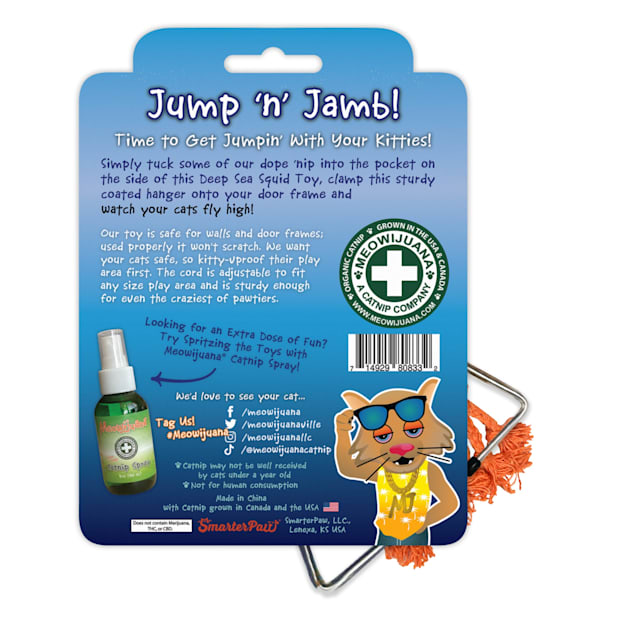 Catnip spray petco deals