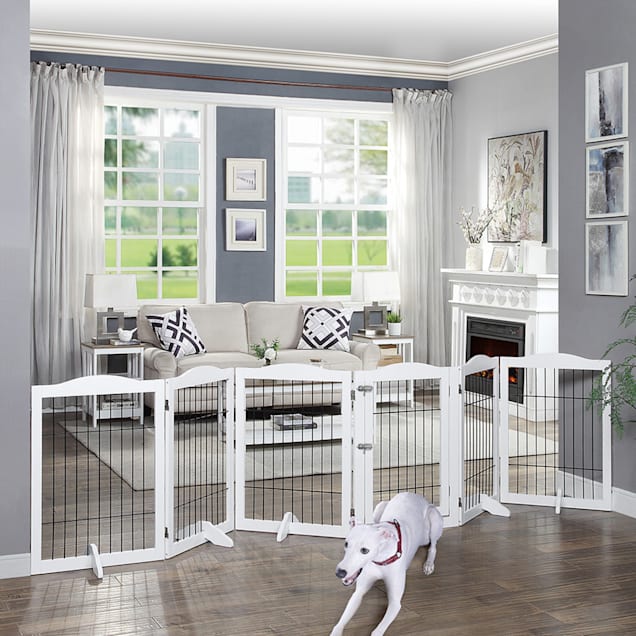 6 panel freestanding gate online