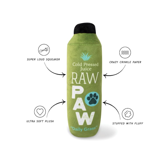 Raw dog toy online