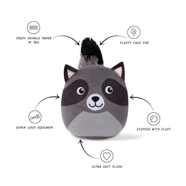 best cat litter box for attractant buy World's Best Cat Litter' Advanced Picky Cat  Pet Food Online by  Naturally Urban