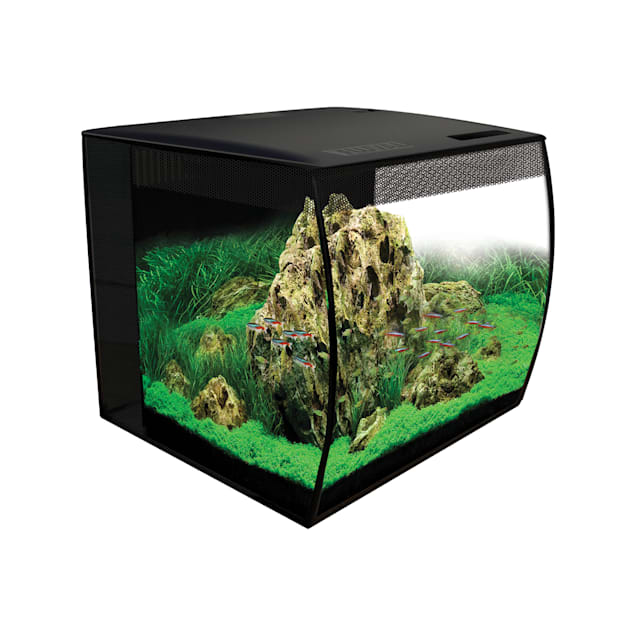 15 gallon tank petco deals