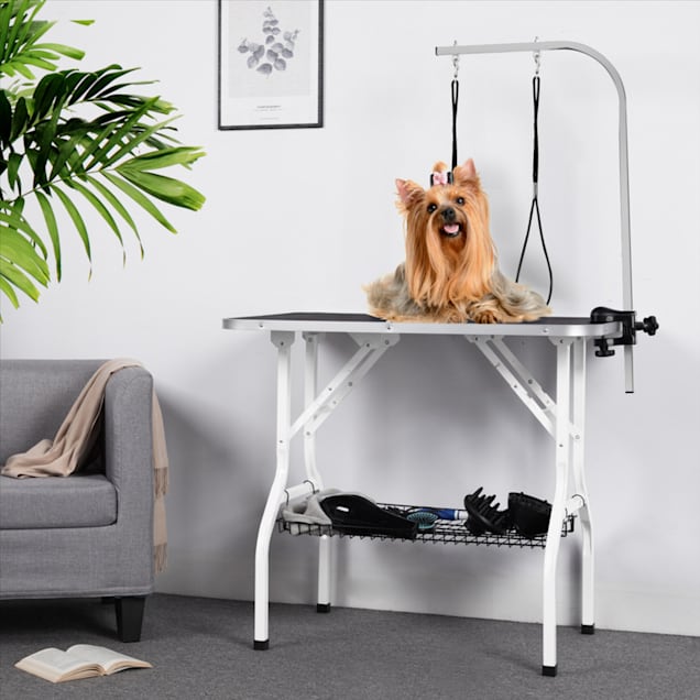 Folding dog grooming table sale