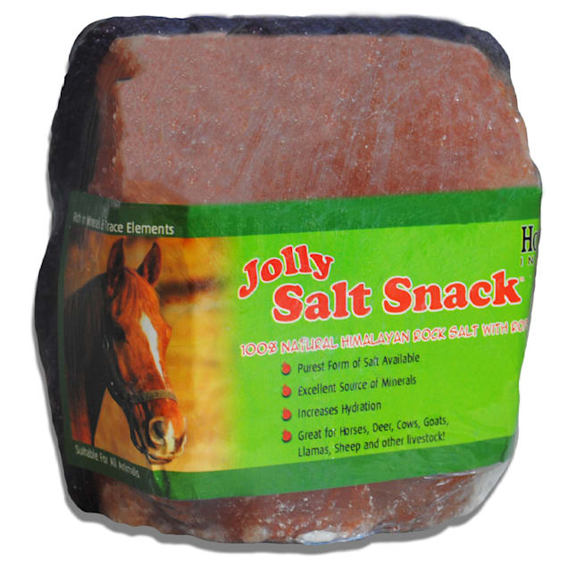 Horsemen's Pride Salt Brick Horse Treats, 7.5 lbs. - Carousel image #1
