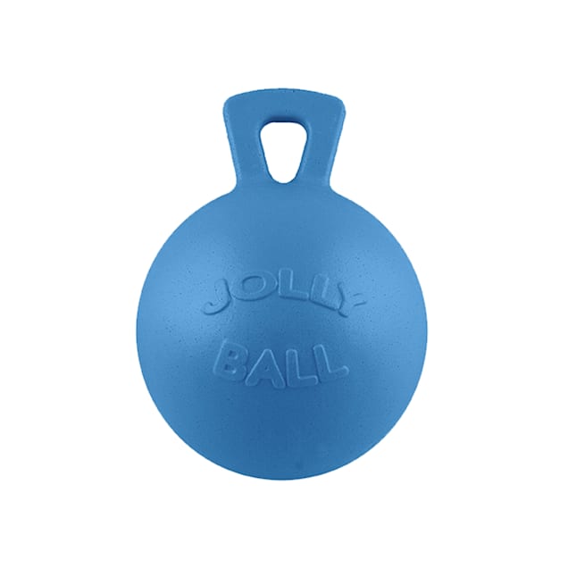 Jolly ball 2025 dog toy petco