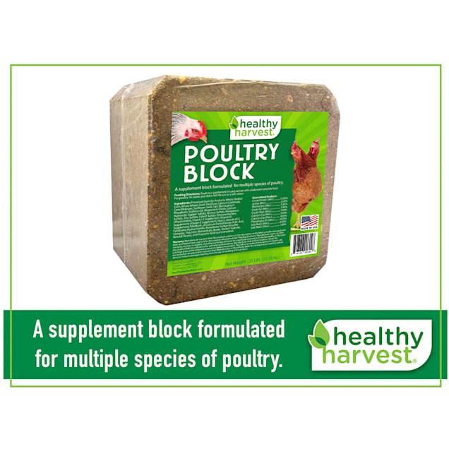 Chicken feed outlet petco
