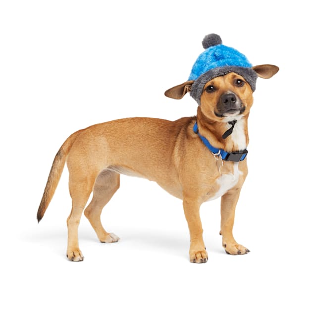 YOULY Beanie Dog Hat, X-Small/Small