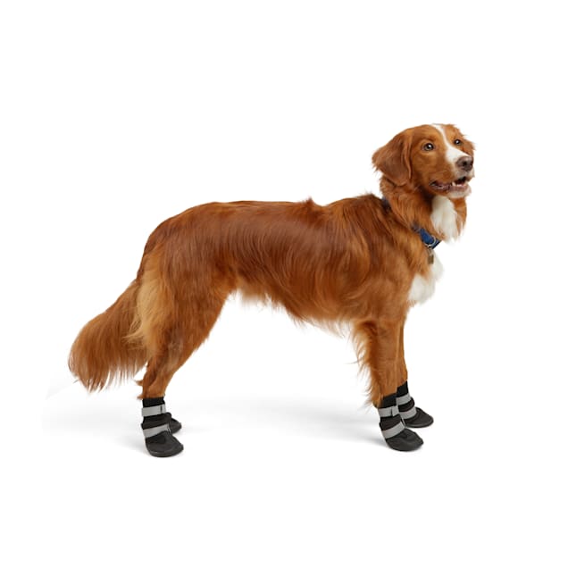 The Best Winter Dog Boots: Soft Shield