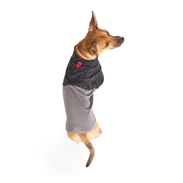 Reddy Black Baselayer for Dogs, XXSmall Petco