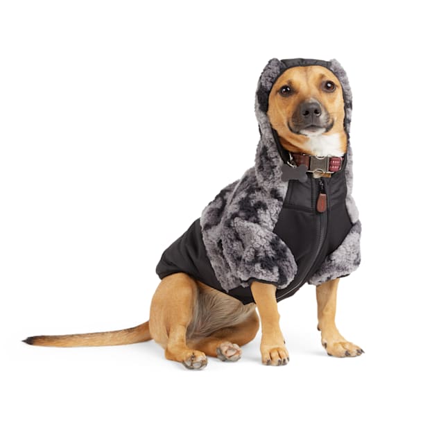Reddy discount dog raincoat