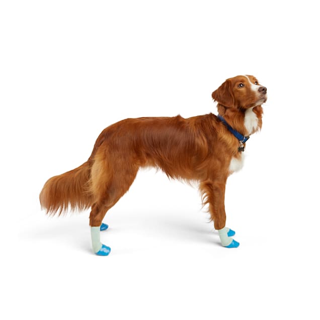 Edible socks cheap for dogs