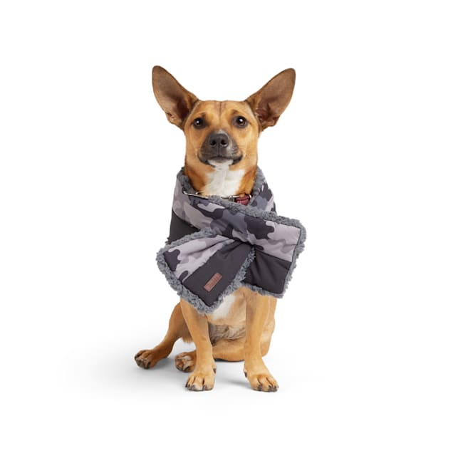 Petco dog 2025 scarf