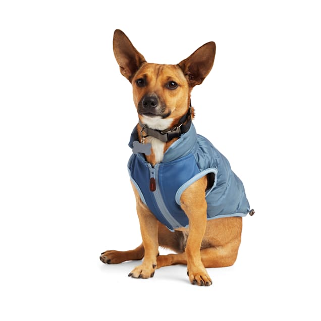 Dog anxiety vest petco hot sale