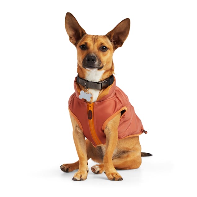 Service dog vest harness petco clearance