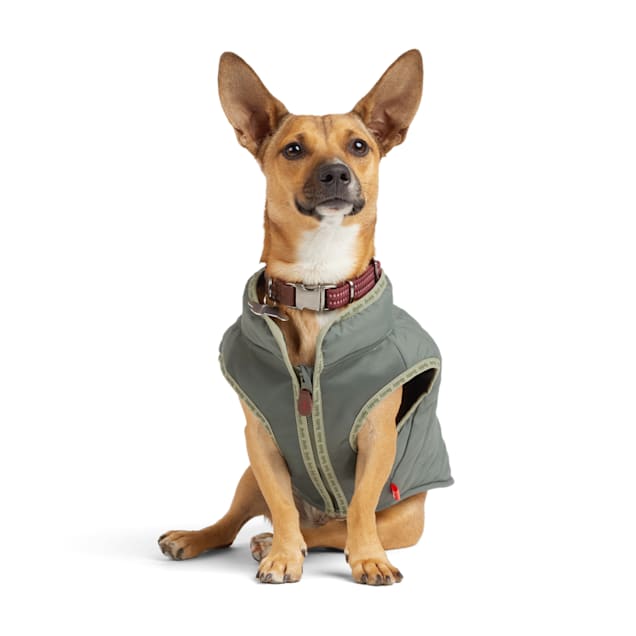 PetLuxLV Double-Sided Coat Vest • Yorkies Gram