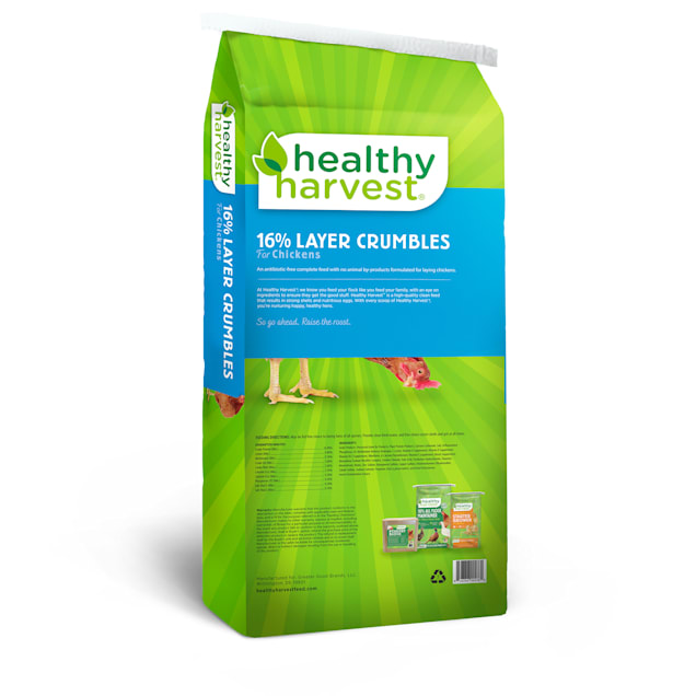 Petco chicken feed on sale