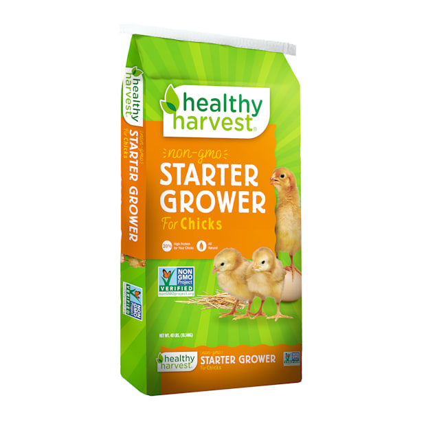 Chicken feed petco discount