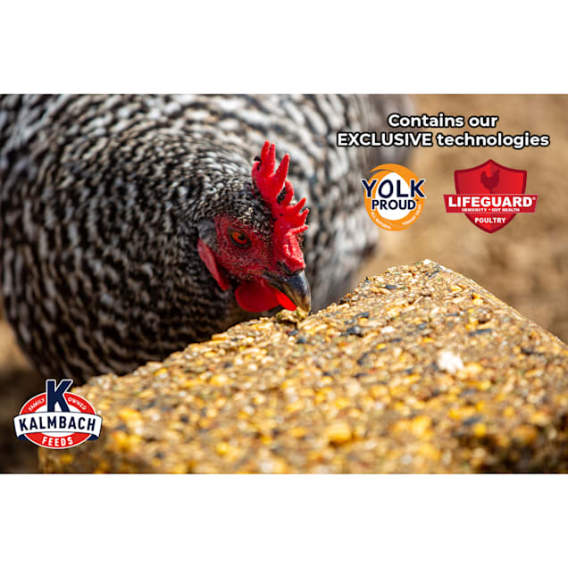 Kalmbach Feeds Henhouse Reserve Poultry Treat Block 20 lbs. Petco
