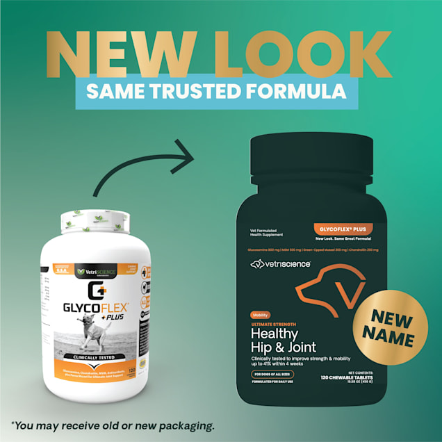 Vetriscience glycoflex store