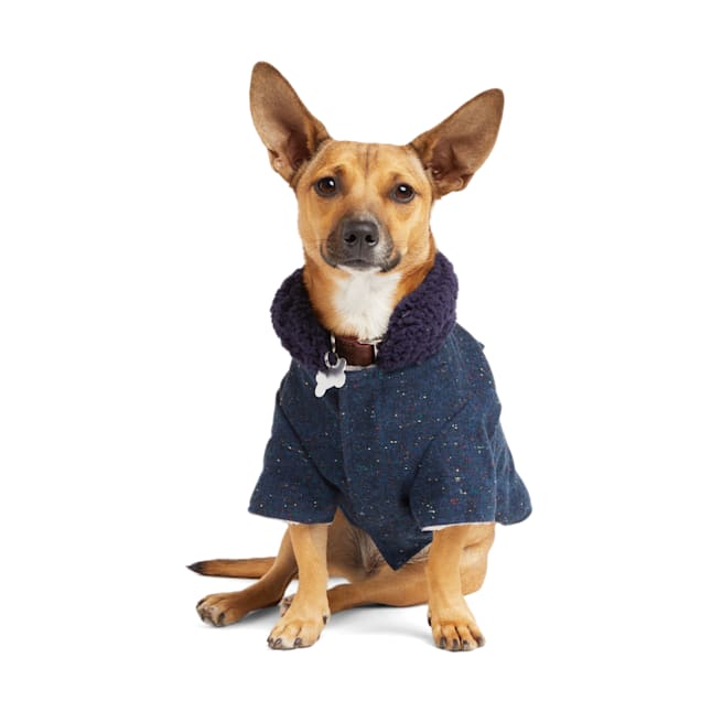 Reddy dog jacket new arrivals
