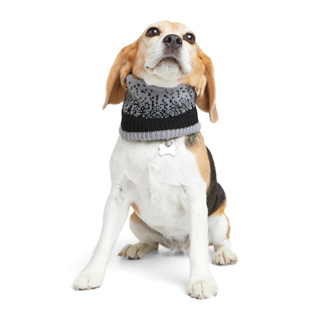 Petco dog on sale scarf