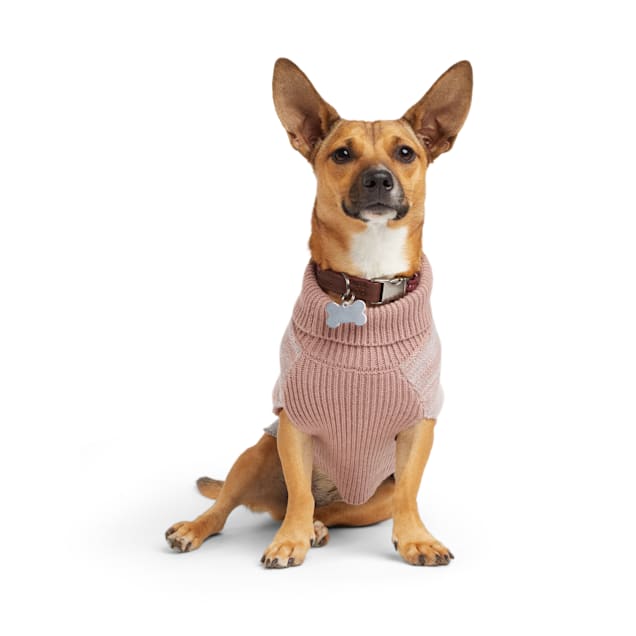 Petco dog sweaters 2025