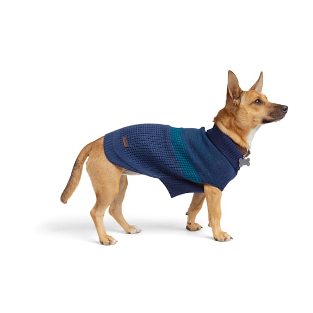 Petco small dog sweaters hotsell