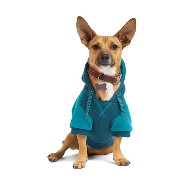 Petco cheap dog sweatshirt
