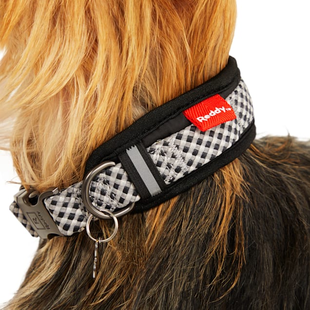 Petco sale reddy collar