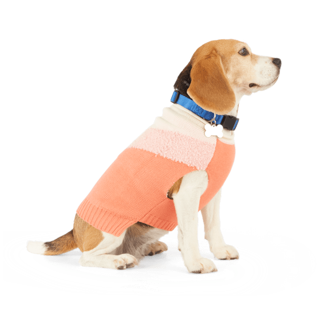 YOULY The Heir Pink Fuzzy Dog Sweater, X-Large