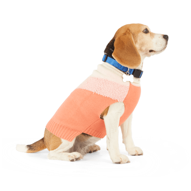 Small dog sweaters sale deals