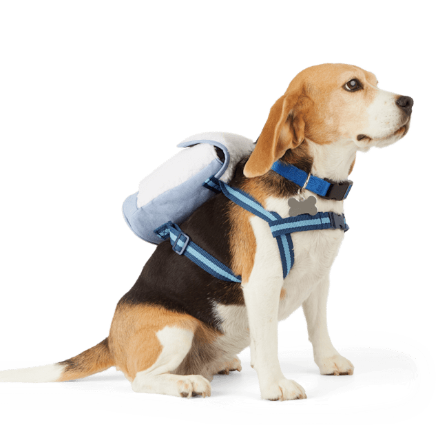 YOULY Ivory Sherpa Dog Backpack X Small Small Petco