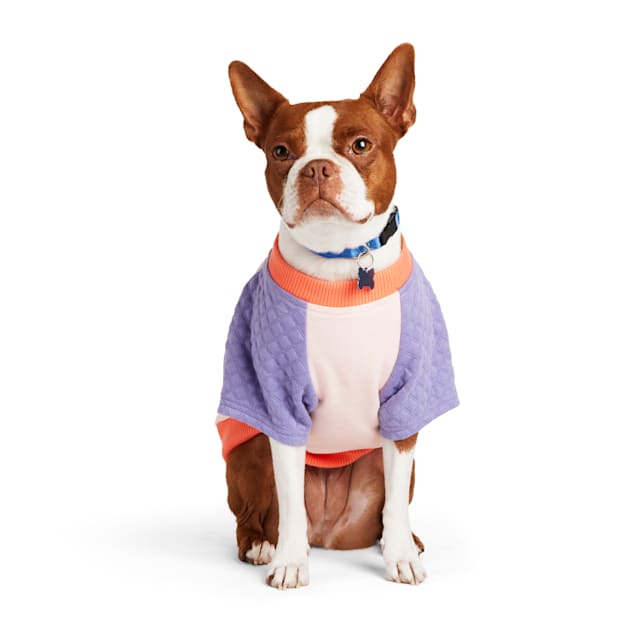 YOULY Fun Crewneck for Dogs X Small Petco