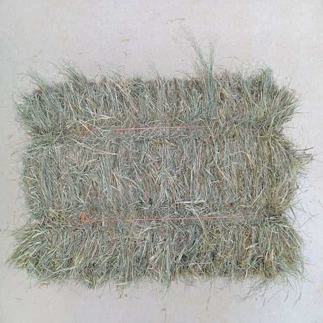 XIMENEZ Coastal Bermuda Hay Bale 65 lbs for Farm Animals