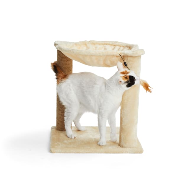 Petco cat hammock 2025