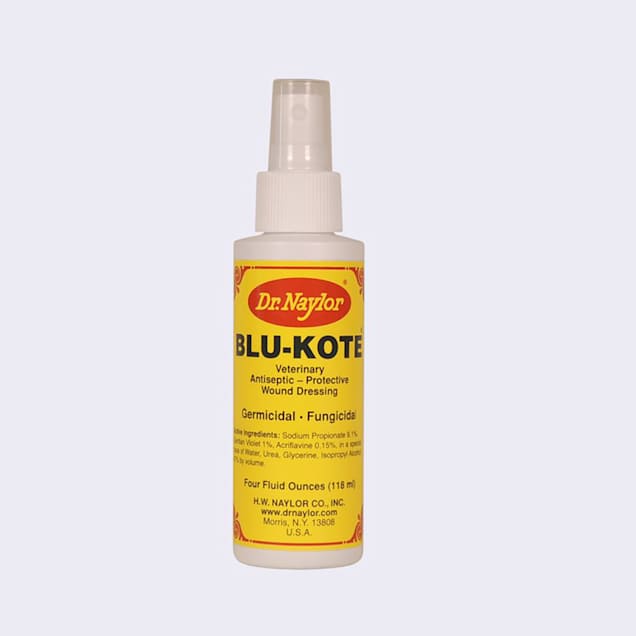 Dr. Naylor Blu-Kote Pump Spray, 4 fl. oz. - Carousel image #1
