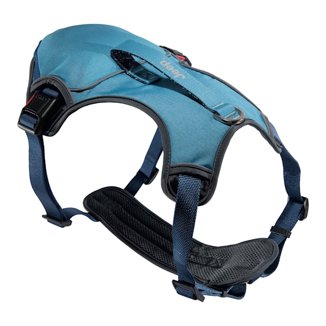 Aldi dog harness clearance