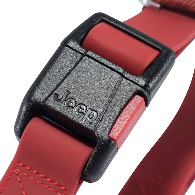 Jeep dog collars 2025