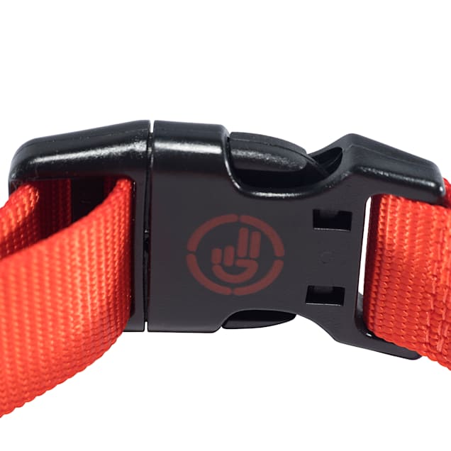 Jeep Backroads Bandana Dog Collar Large Petco
