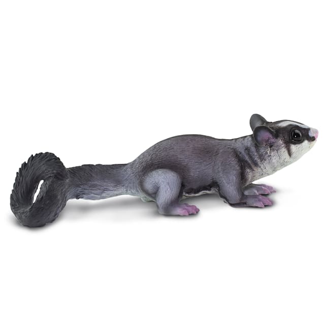 Best toys for sugar gliders hotsell