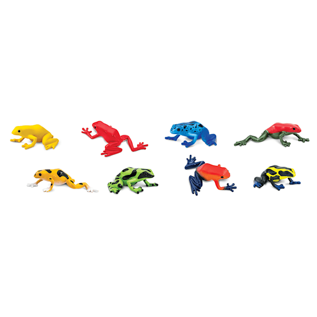 Tomato frog hot sale petco