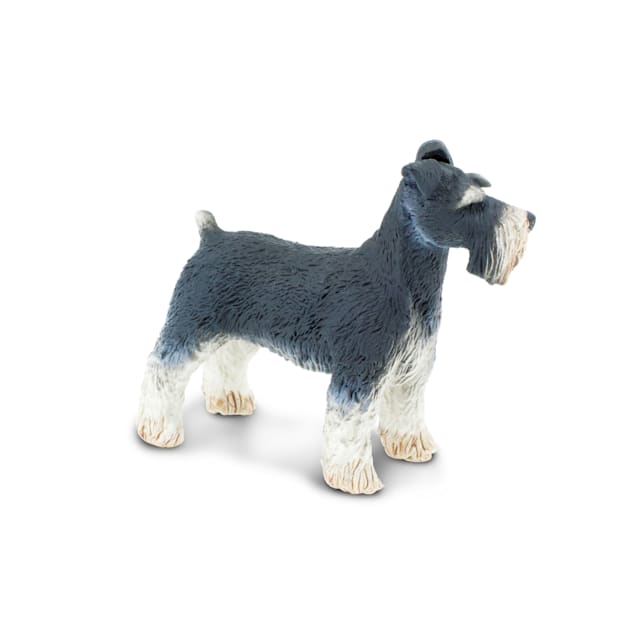 Schnauzer items for sale top