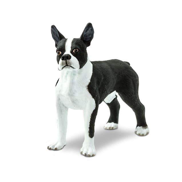 Boston terrier dog shop toys