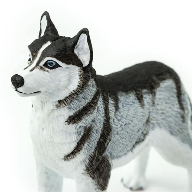 Safari Ltd Siberian Husky Toy Figure