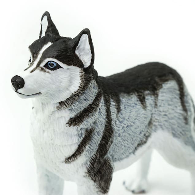Toy husky hot sale