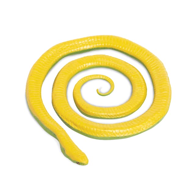Rough green snake for sale petco sales