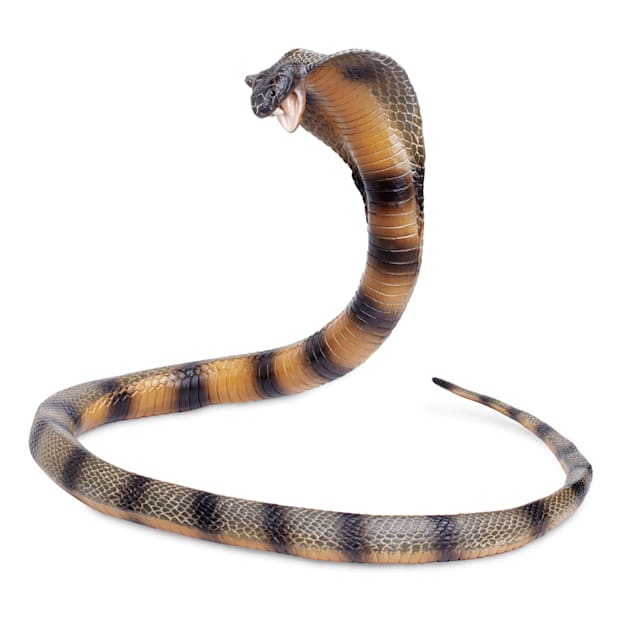 King outlet cobra toy