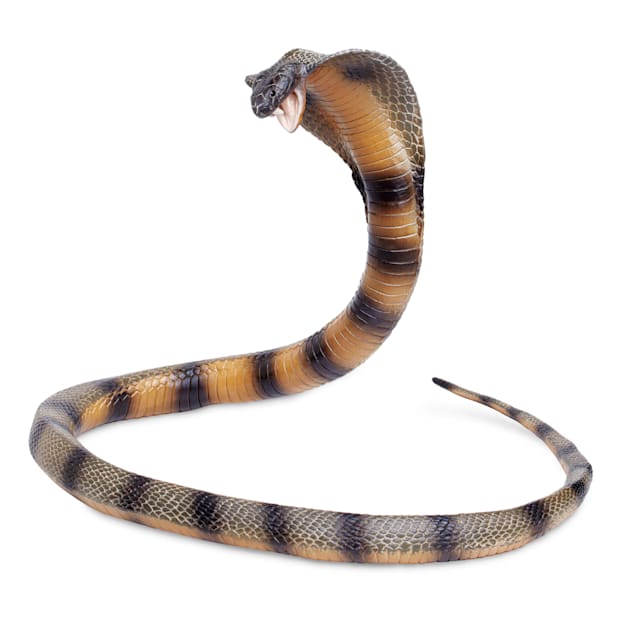 Cobra Toy, Wildlife Animal Toys